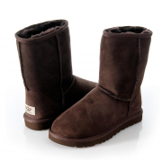 UGG Men Short