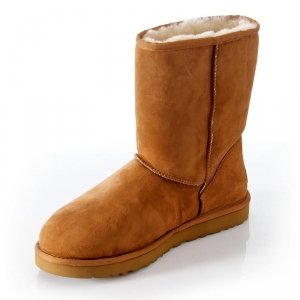 UGG Short Men