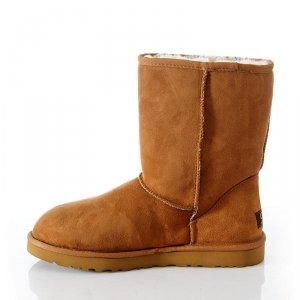 UGG Short Men