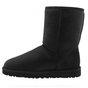UGG Short Men
