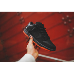 Nike SB Dunk Low(045)