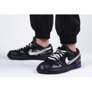 Nike X Dunk Low x Off White (027)