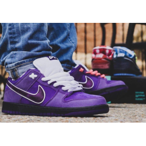 Concepts x Nike Dunk Low SB Purple Lobster Special Box 