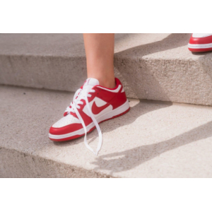 Nike SB Dunk Low University Red