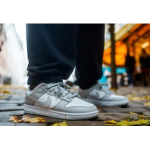 Кроссовки Nike Dunk Low Grey