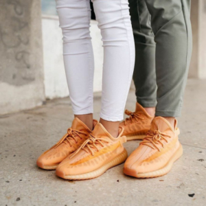 Кроссовки Adidas Yeezy Boost 350 V2 Mono Clay