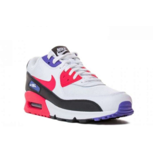 Кроссовки Nike Air Max 90 Essential Raptors
