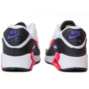 Кроссовки Nike Air Max 90 Essential Raptors