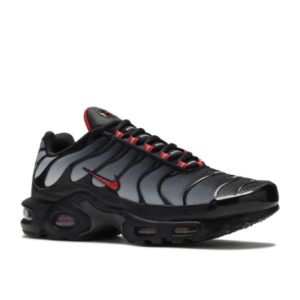 Кроссовки Nike Air Max Plus Blue Gradient Red