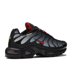 Кроссовки Nike Air Max Plus Blue Gradient Red