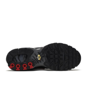 Кроссовки Nike Air Max Plus Blue Gradient Red
