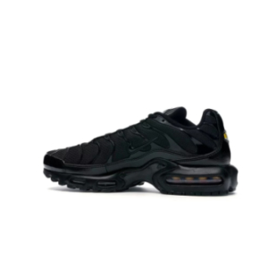 Кроссовки Nike Air Max Plus TRIPLE BLACK