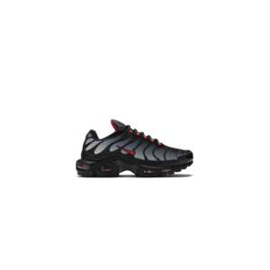 Кроссовки Nike Air Max Plus Blue Gradient Red