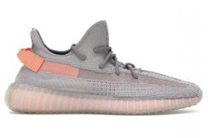 Кроссовки Adidas Yeezy Boost 350 V2 True Form (055)